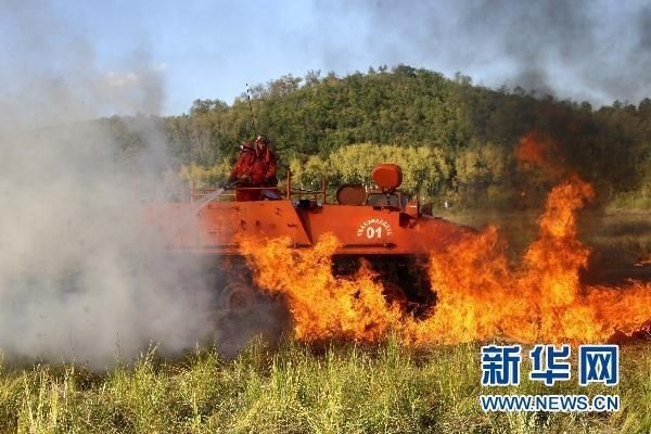 【動畫】森林草原防火“十不準”“五不燒”！這些安全知識要牢記