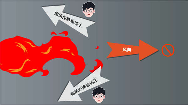 【動畫】森林草原防火“十不準”“五不燒”！這些安全知識要牢記